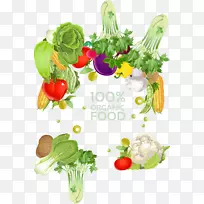 素食菜系蔬菜水果插图-蔬菜边框