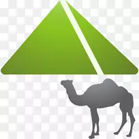 骆驼卡通图标-骆驼