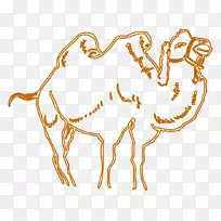 骆驼画卡通-骆驼