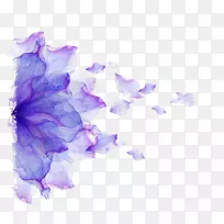 膝上型花紫花瓣-紫花瓣飘浮