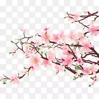 樱花剪贴画-樱花艺术