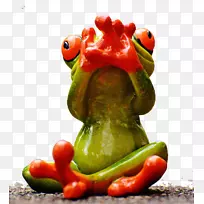青蛙幽默下载摄影-可爱有趣的青蛙