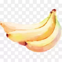 水彩画奥格里斯香蕉蔬菜-香蕉