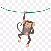 猿猴猩猩灵长类猴智人-载体猩猩