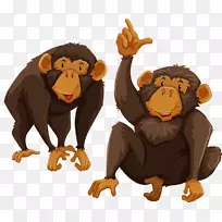 吉本灵长类猴子插图-淘气猴