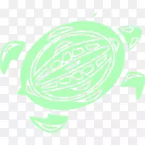 绿海龟-简单的绿海龟