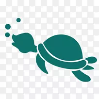 海龟-可爱的卡通乌龟