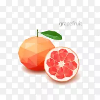 柚子，柠檬，橘子，水果