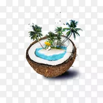 斐济椰子水海滩岛-椰子