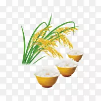 籼稻、月饼、谷类食品-大米和大米