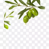 橄榄油绿色橄榄油