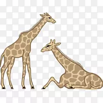 长颈鹿画卡通剪辑艺术长颈鹿照片