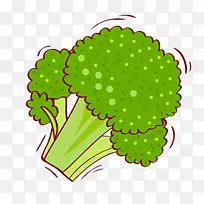 花椰菜插图.花椰菜