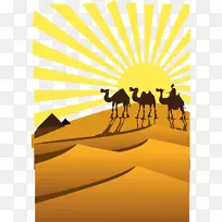 撒哈拉沙漠骆驼剪贴画-骆驼