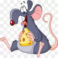 老鼠吃剪贴画-吃奶酪的老鼠