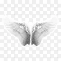 天使翅膀图标-翅膀，天使翅膀，淘宝创意翅膀效果