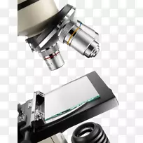 光学显微镜-创新显微镜
