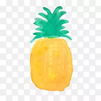 菠萝水彩画-菠萝