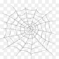 蜘蛛网-蛛网图案