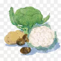 菜花蔬菜花椰菜食品插图卡通花椰菜蔬菜