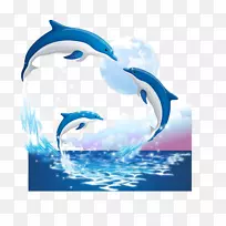 海豚贴纸插图-海豚