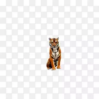 老虎孟加拉大猫野生动物-老虎动物园