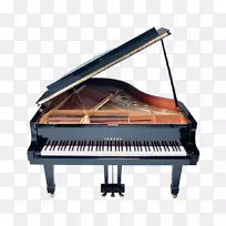 乐器钢琴如何弹奏黑色福音-钢琴