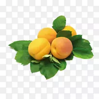埃里温市素食超市-杏叶