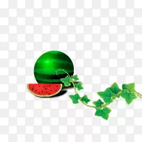 绿叶西瓜
