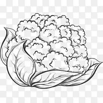 花椰菜.手绘花椰菜