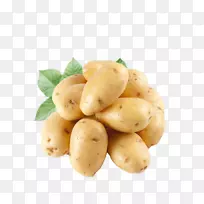 马铃薯叶类蔬菜营养种子-马铃薯
