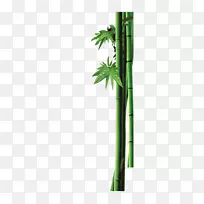 竹子露竹