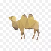 骆驼长颈鹿图-骆驼不规则