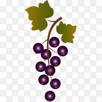 葡萄果实紫色-一串葡萄