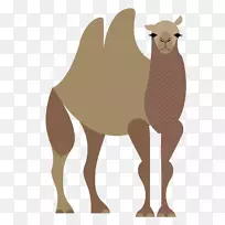 骆驼卡通长颈鹿插图-骆驼卡通