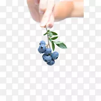 蓝莓早餐水果-蓝莓健康