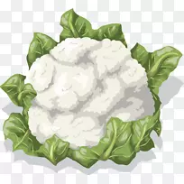 花椰菜蔬菜食品剪贴画花椰菜载体