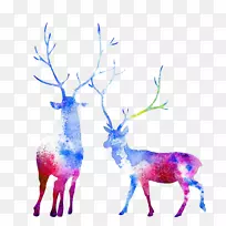 驼鹿水彩画麋鹿-水彩鹿