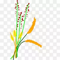 米粒剪贴画-大麦稻谷