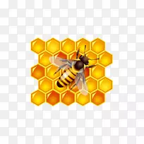 蜜蜂剪贴画-蜂蜜