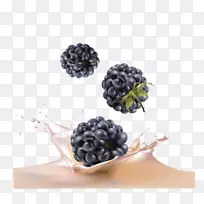 果汁黑莓水果蓝莓-载体蓝莓