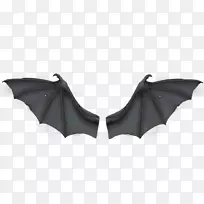 蝙蝠翼发展飞行剪辑艺术灰蝙蝠翅膀