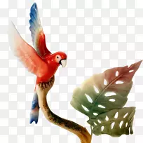 金刚鹦鹉亚马逊鹦鹉图标-鹦鹉