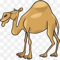 卡通剪贴画-卡通骆驼
