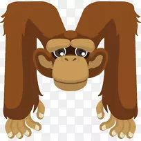 猴子猩猩猿猩猩字母