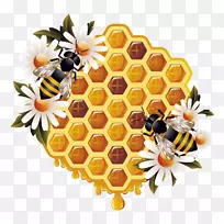 蜜蜂蜂巢大黄蜂-蜜蜂