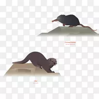 鼠插图-莱鼠画的动物，水