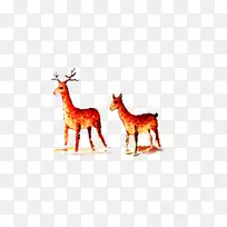 驯鹿长颈鹿鹿角文字插图-鹿