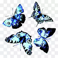 蝴蝶水彩画-蓝色蝴蝶