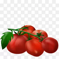 李子番茄蔬菜樱桃番茄灌木番茄水果-番茄